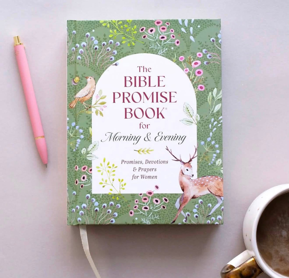 Bible Promise Book